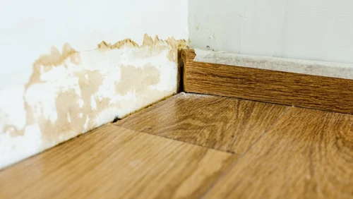 Water Damage Restoration